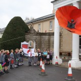 Giant poppy comes down