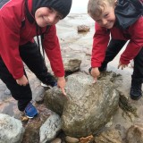 Year 5 fossil hunting