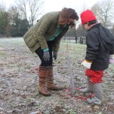 Tree planting