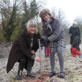 Tree planting