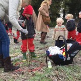 Tree planting