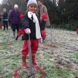 Tree planting