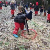 Tree planting