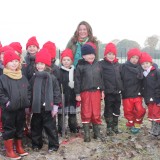 Tree planting