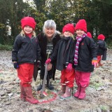 Tree planting