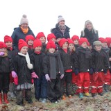 Tree planting