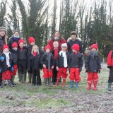 Tree planting