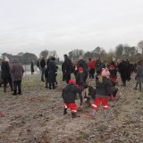 Tree planting