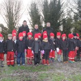 Tree planting