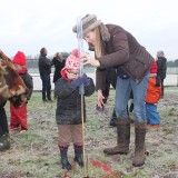 Tree planting