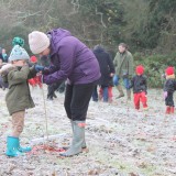 Tree planting