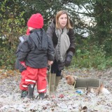 Tree planting