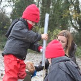 Tree planting