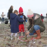 Tree planting