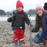 Tree planting