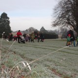 Tree planting