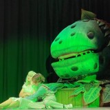 Year 8's Little Shop of Horrors