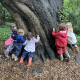 Nursery children in a forest school session