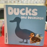 book on ducks and ducklings