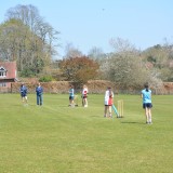 cricket