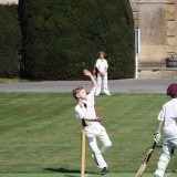 cricket