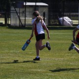 run cricket