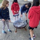 firepit with boarders