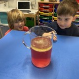 Science in Year 1
