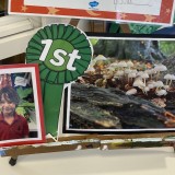 Pre-Prep School photography competition
