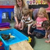 Ducklings hatch at Nursery