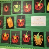 peppers from Year 7