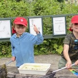 Arundel Wetland Centre trip