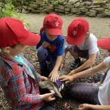 Arundel Wetland Centre trip