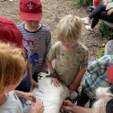 Arundel Wetland Centre trip