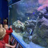 blue reef aquarium visit