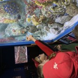 blue reef aquarium visit
