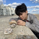 visiting victorian seaside town