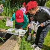 boys exploring what they could find in a pond