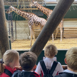 Year 5 trip to Marwell Zoo