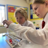 Year 4 science lesson