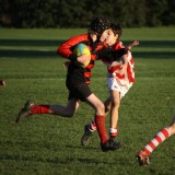 Boys U12 Rugby v. Hurst