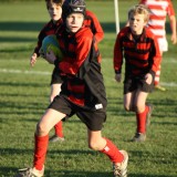 Boys U12 Rugby v. Hurst