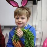 rabbit