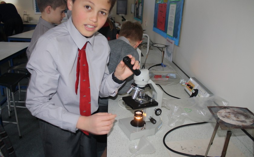 Filtering plastics experiment
