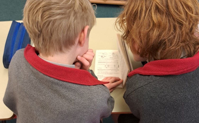 leading by reading peer mentoring 