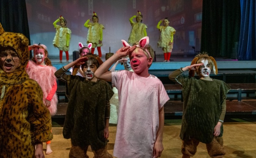 children dressed as pigs