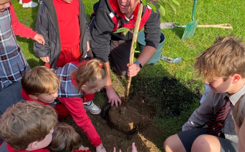 Reception and Nursery children helping the troop leader plant the tree