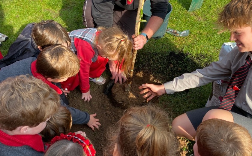 Reception and Nursery children helping the troop leader plant the tree