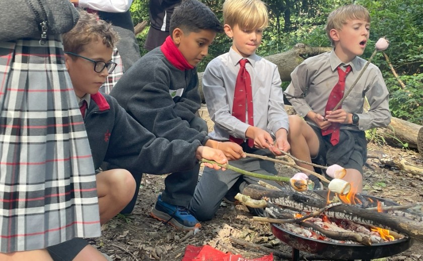 year 5 and 6 pupils making s'mores around a small fire in the woods