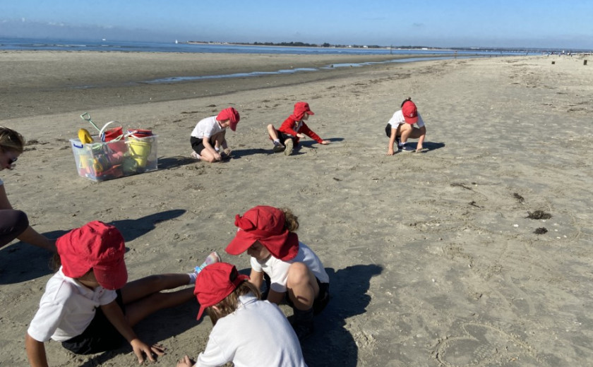 Year 1 at the beach